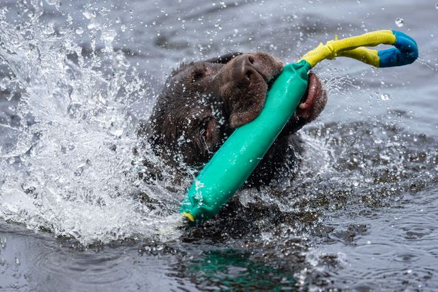 Sadie hits the water